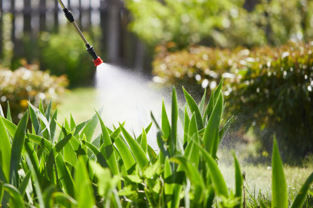24/7 Emergency Wasp Removal experts in Rossmoyne, OH